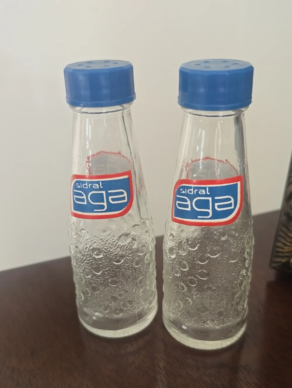 Sidral Aga | Salt And Pepper Shaker Glass Bottles